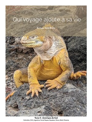 cover image of Amérique du sud